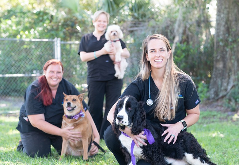 Animal Hospital in Jacksonville, FL | Veterinarians in Jacksonville, FL